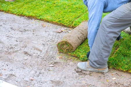 Sodding vs. Seeding For Cottage Properties In Muskoka’s Harsh Climate